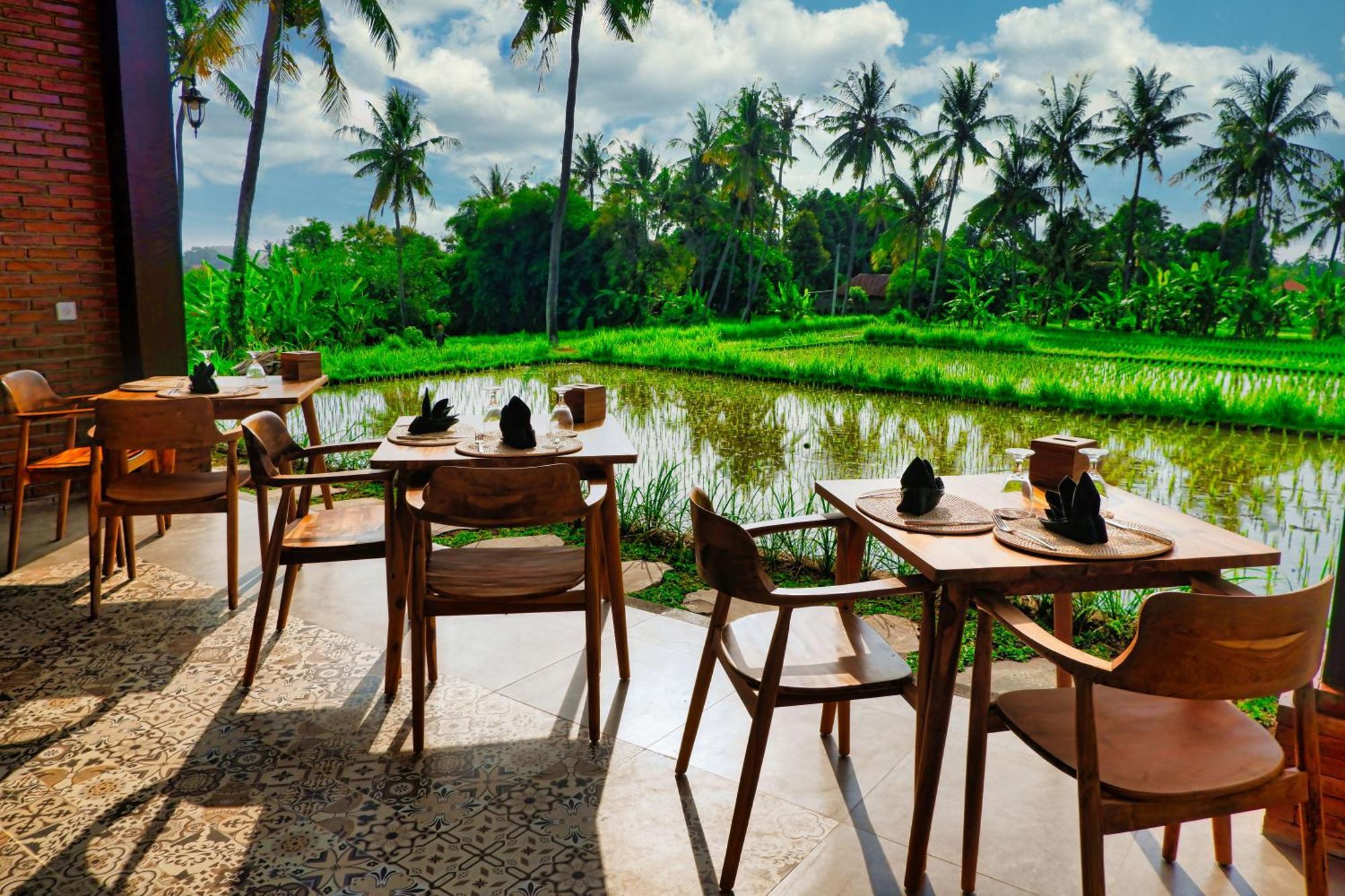 Dapha Eco Lodge Lovina Sukasada Exterior foto